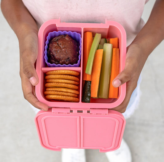 Mini Lunch Box Bento Two